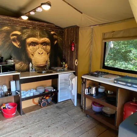 Safritop Sabine Emanuel Lingerhahn