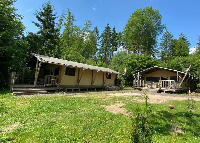 Safritop Sabine Emanuel * Lingerhahn