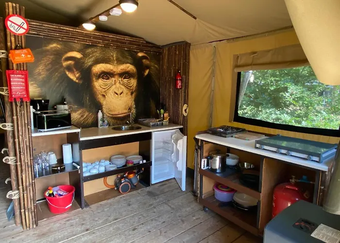 Safritop Sabine Emanuel Lingerhahn